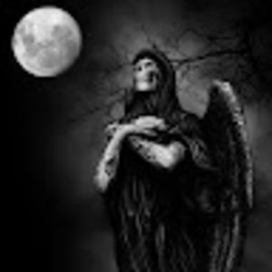 Meet your Posher, Angel